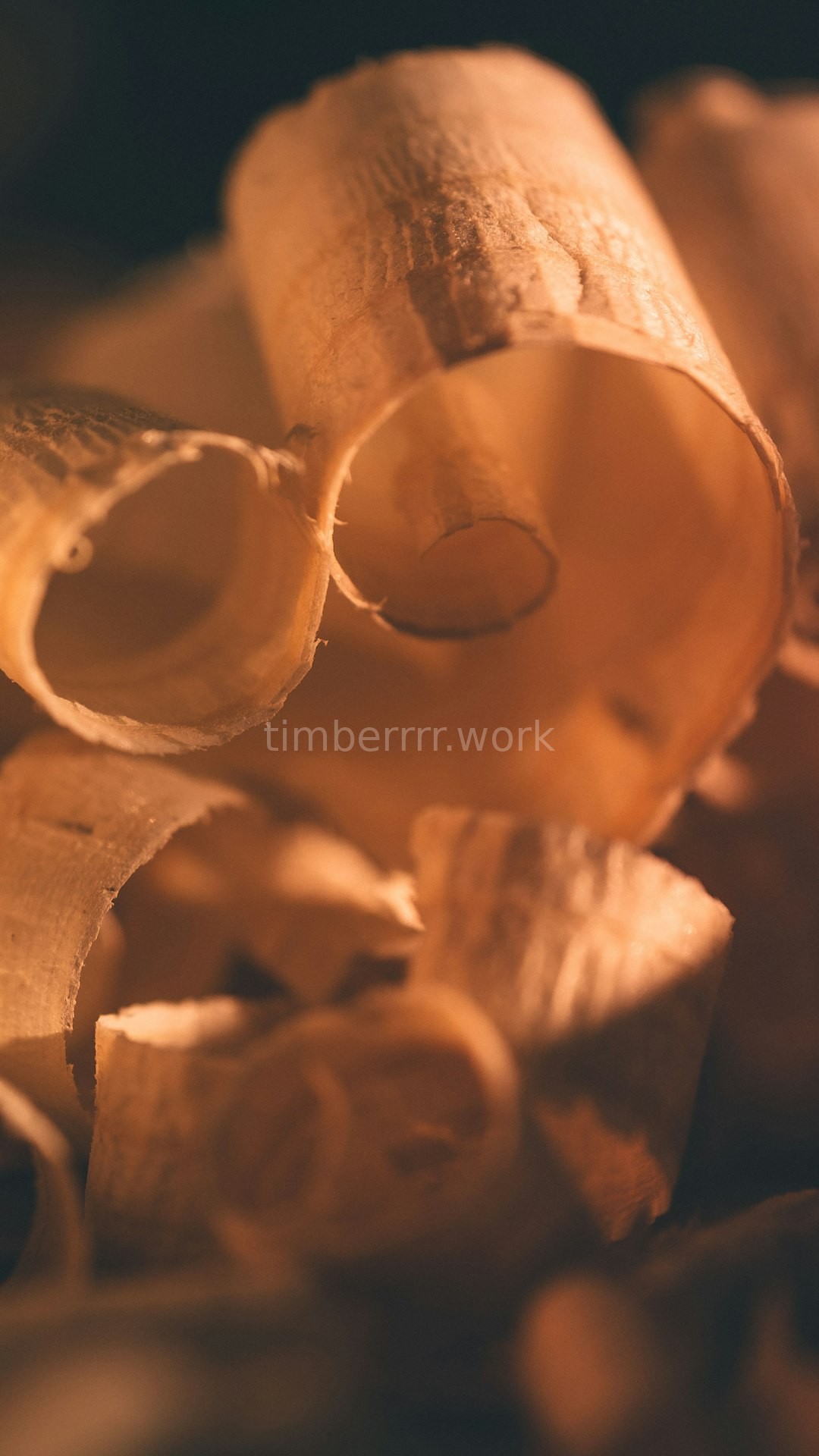 Finishing Reel